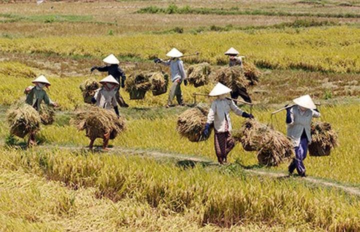 Bánh Ngọt, Thu Nhập Khỏe: Kiếm Tiền Từ Hotspot Matrix