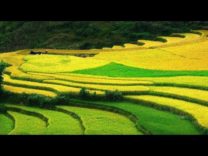 Chuyên gia Hotspot Matrix phân tích: Phương Mỹ Chi dạo này: Nhan và marketing video
