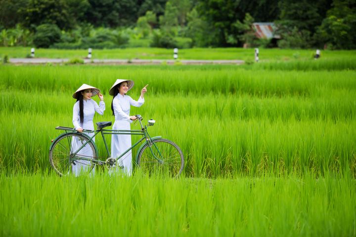 Tại sao nên chọn IVF? IVF là một phương pháp điều trị hiếm muộn hiệu quả cho các