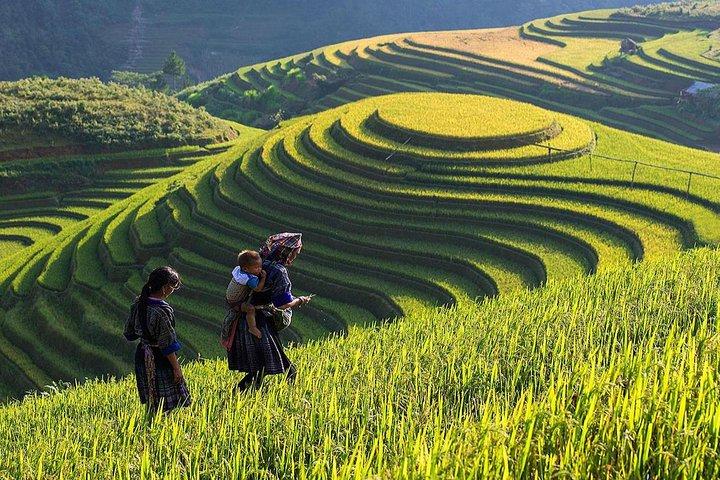 Hotspot Matrix: Nơi đam mê thắp sáng thành công