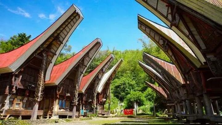 Trong những năm gần đây, xu hướng về thể thao và sức khỏe ngày càng trở nên