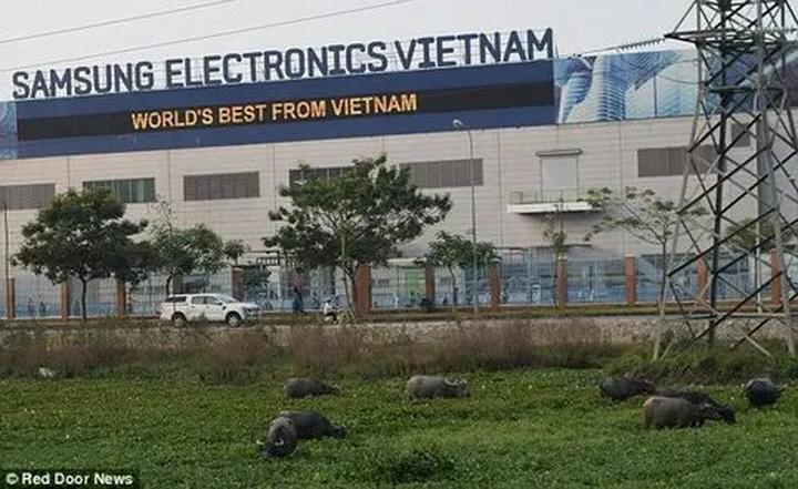 Khởi Nghiệp Thành Công với Hotspot Matrix: Từ Ý Tưởng Đến Thu Nhập Ổn Định